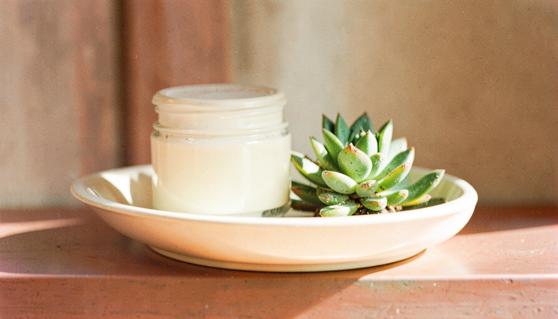 A ceramic dish holding a cream jar and a small succulent plant on a sunlit shelf, creamy whites and sage green
