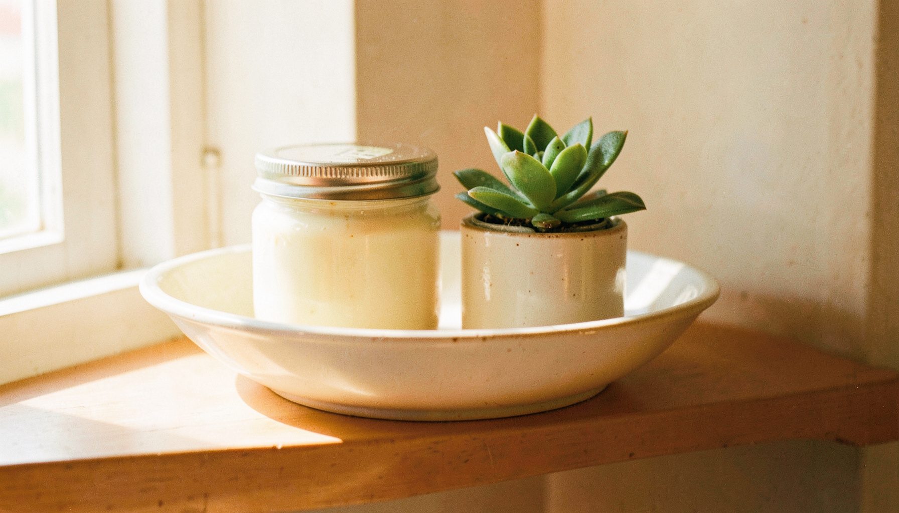 A ceramic dish holding a cream jar and a small succulent plant on a sunlit shelf, creamy whites and sage green